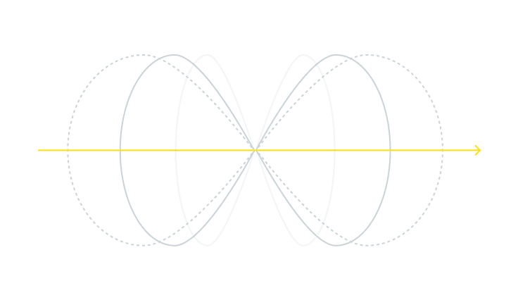 WIEDZA - Focus Electro